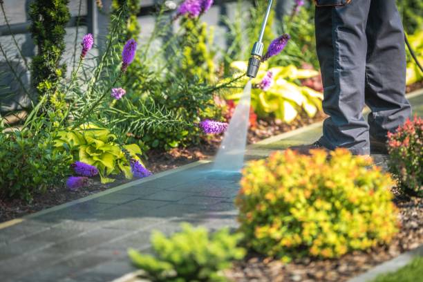 Winterizing Services in Quitman, TX